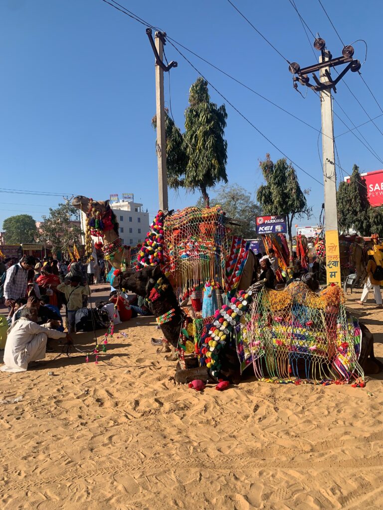 Khatu Shyam Ji Falgun Lakhi Mela in March 2025 Khatu Shyam Ji Falgun Lakhi Mela in March 2025