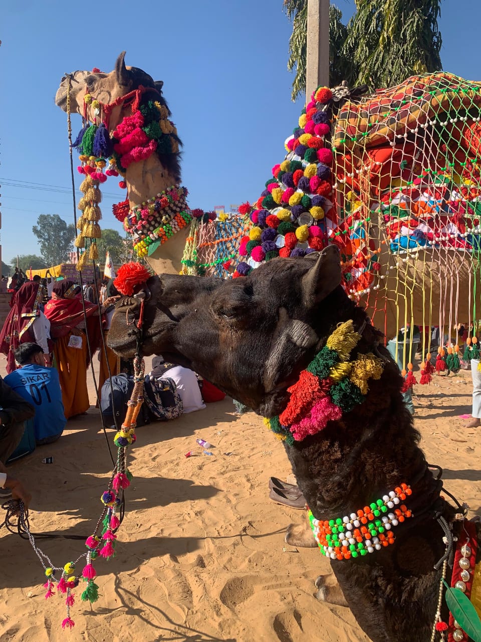 Khatu Shyam