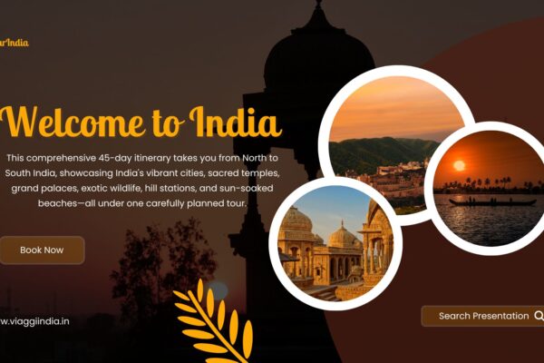 all India tour package